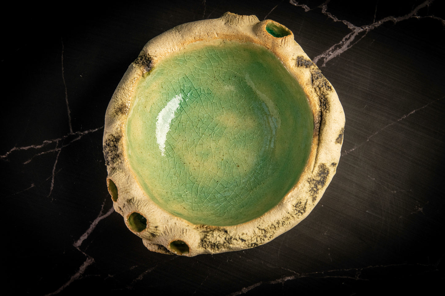 Small Bowl Sea Limpets