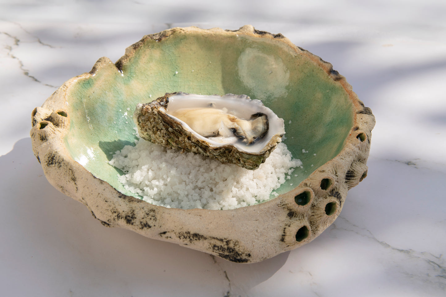 Concave Plate Sea Limpets