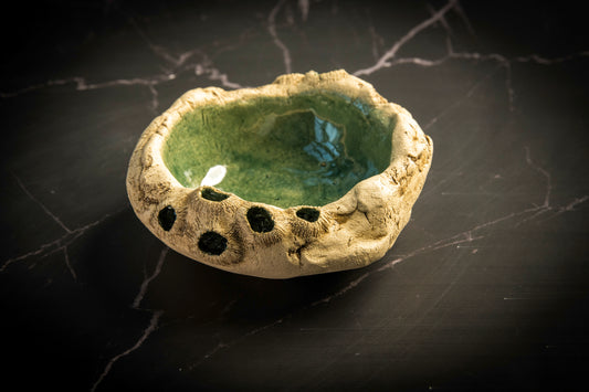 Small Bowl Sea Limpets