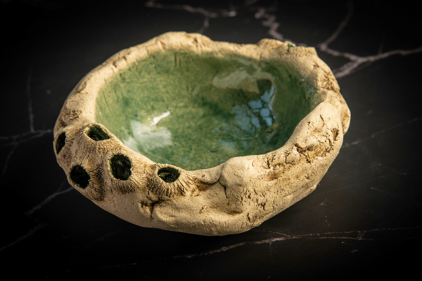 Small Bowl Sea Limpets