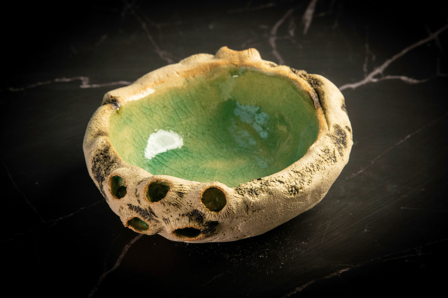 Small Bowl Sea Limpets