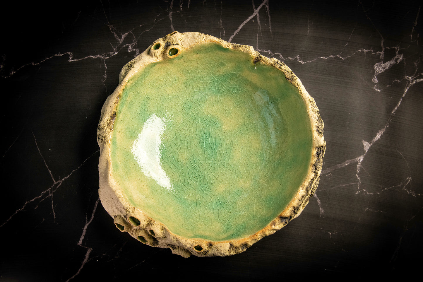 Concave Plate Sea Limpets