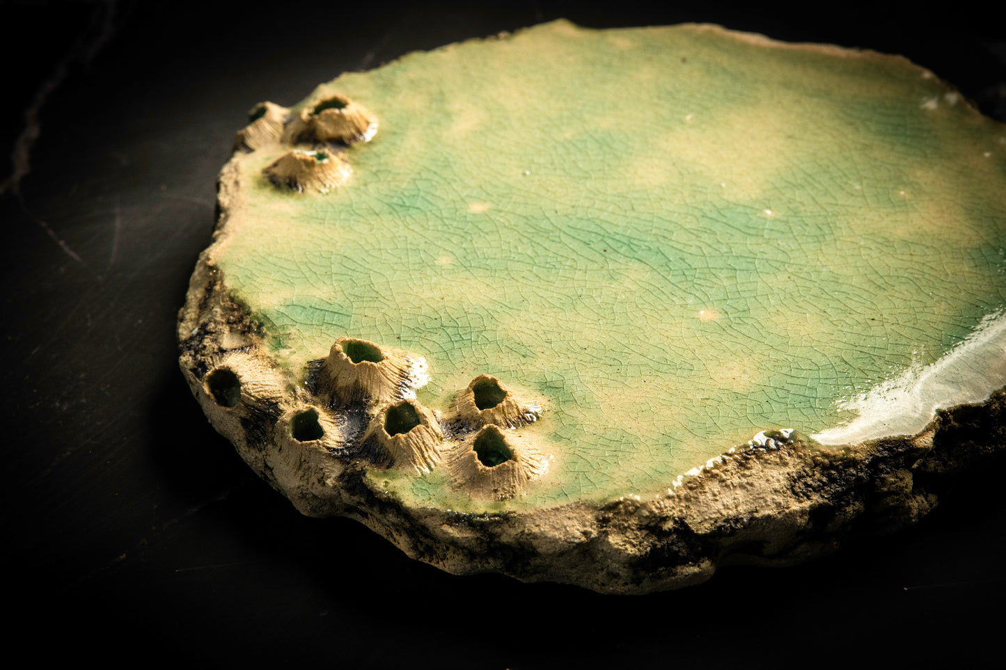 Tapas Plate Sea Limpets