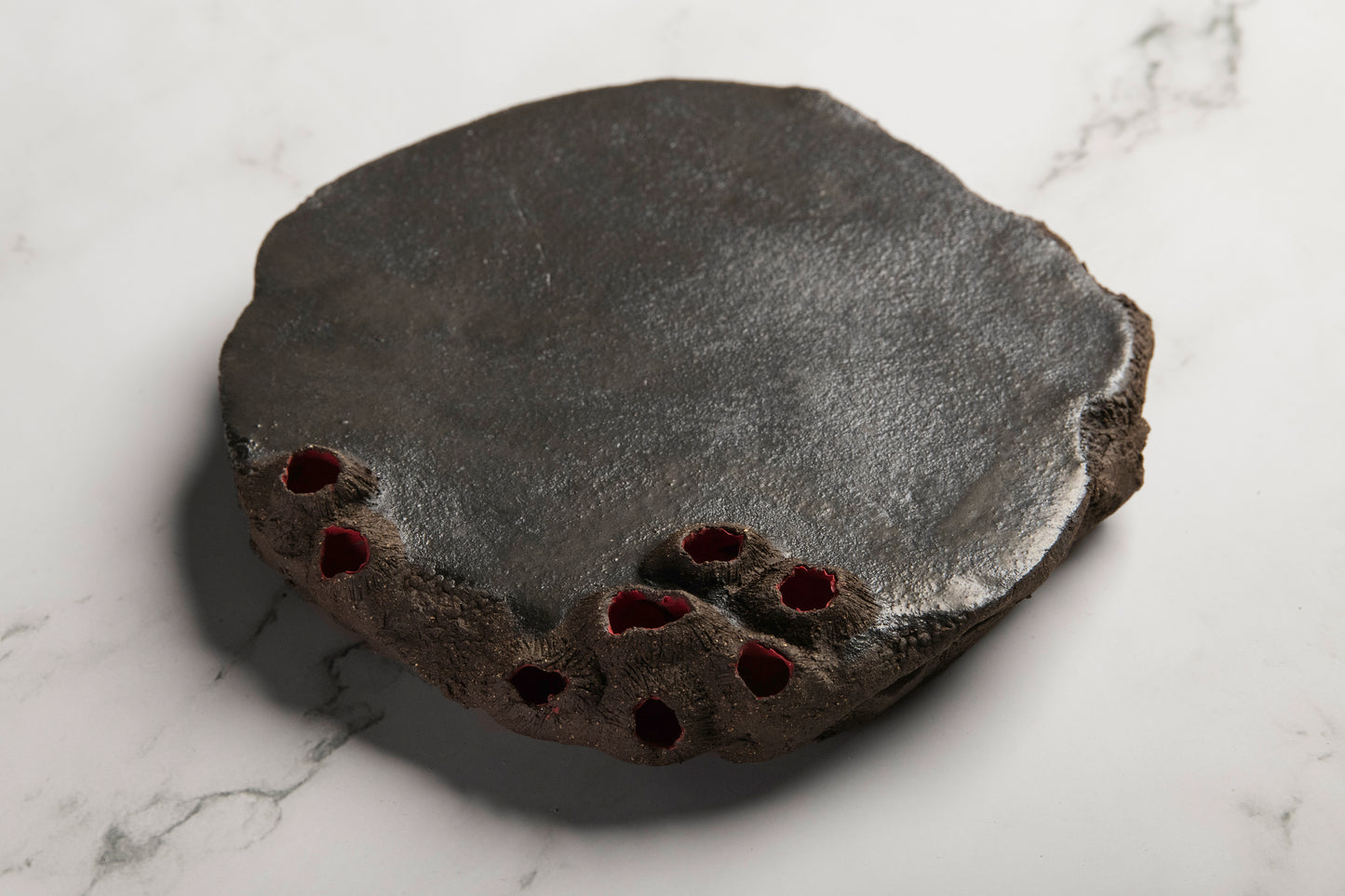 Tapa Plate Earth Limpets