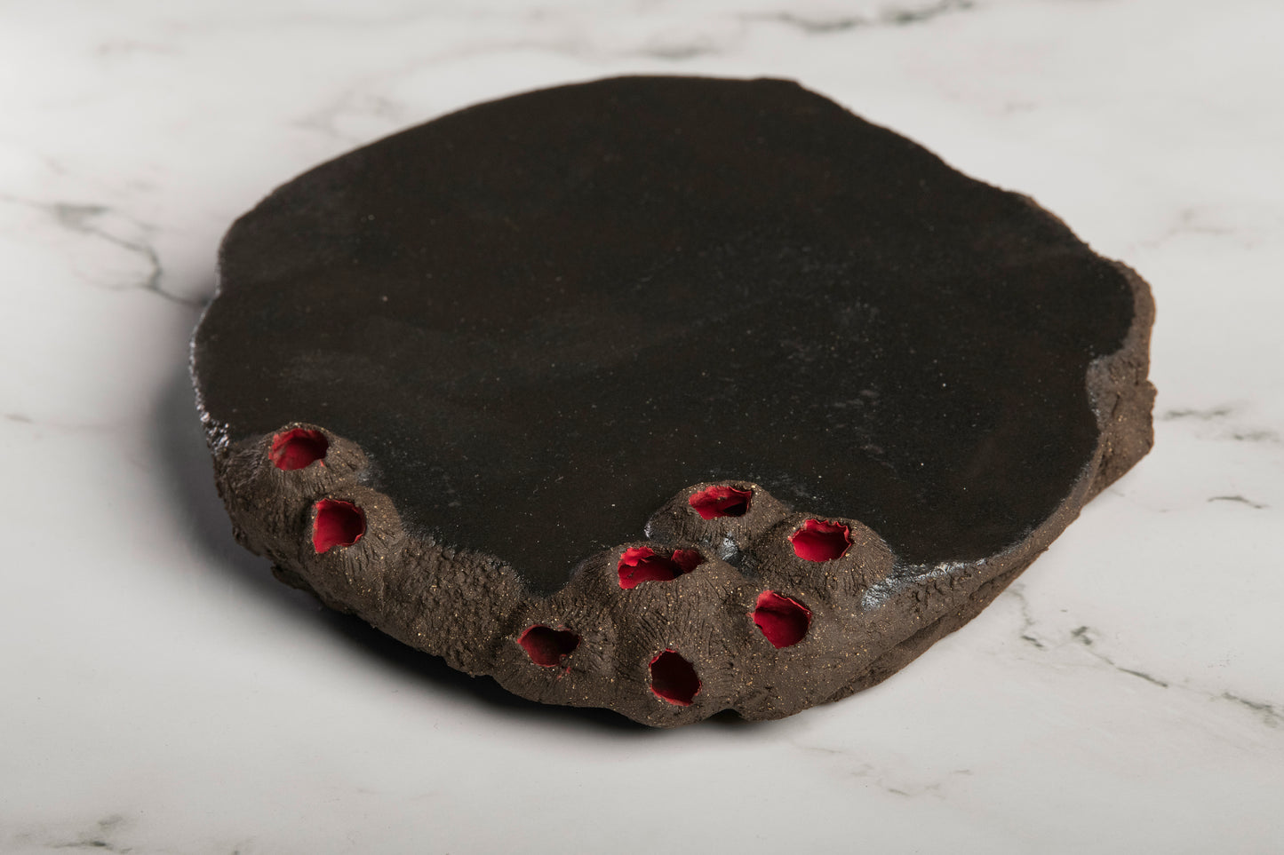 Tapa Plate Earth Limpets