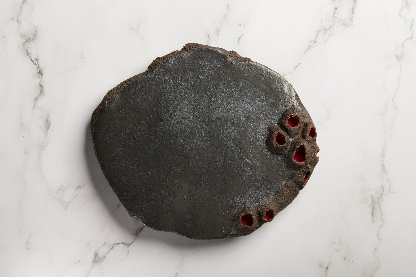 Tapa Plate Earth Limpets