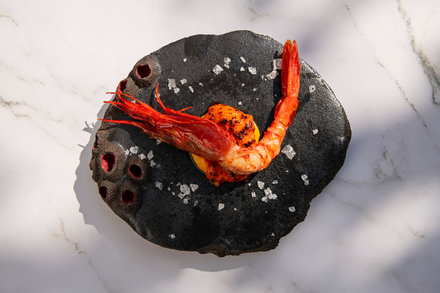 Tapa Plate Earth Limpets