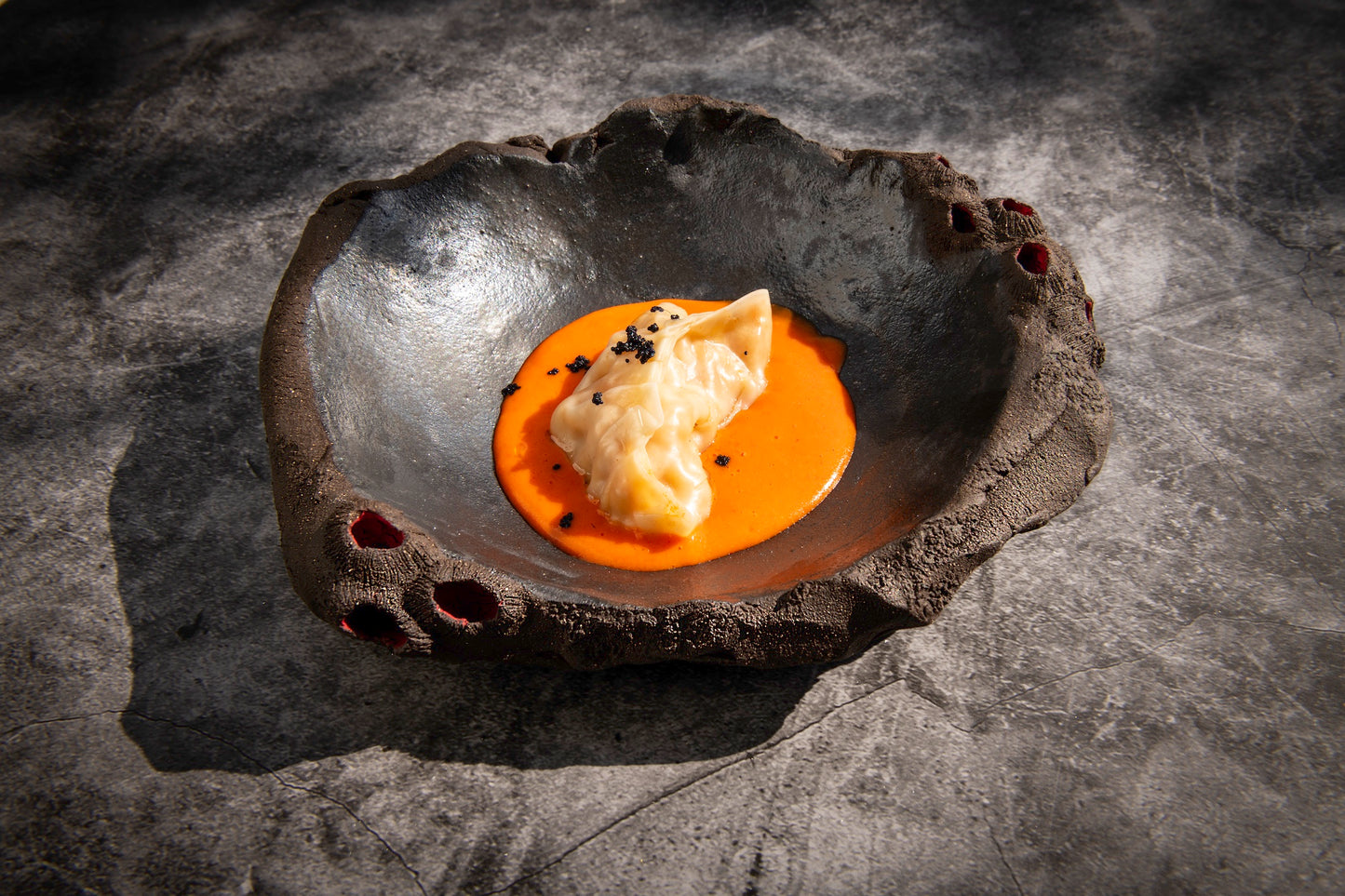 Limpets Earth Concave Plate