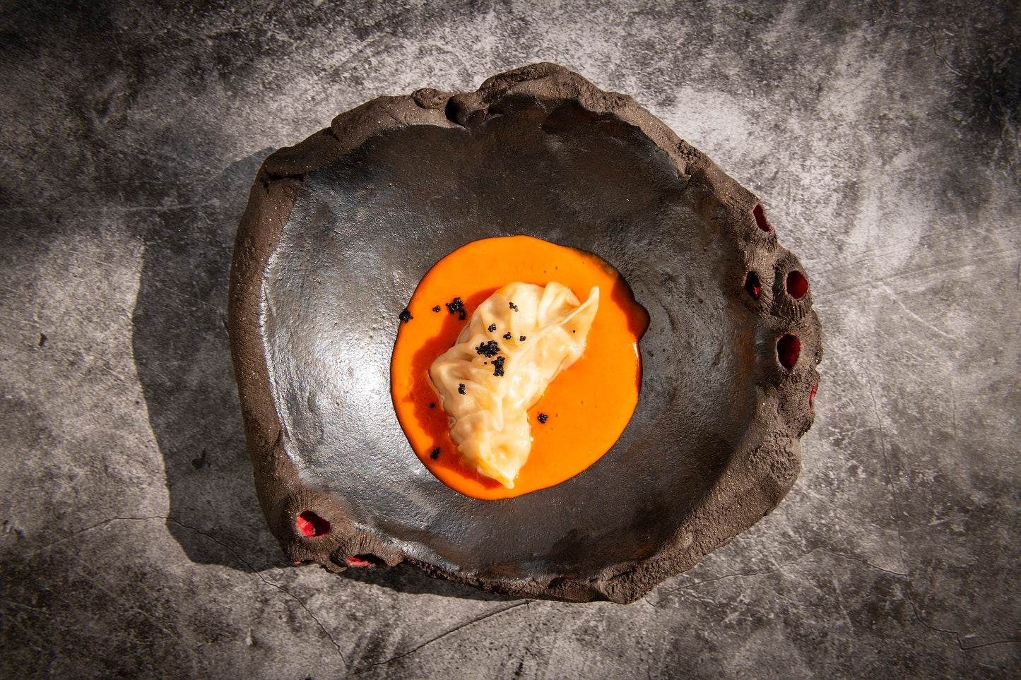 Limpets Earth Concave Plate