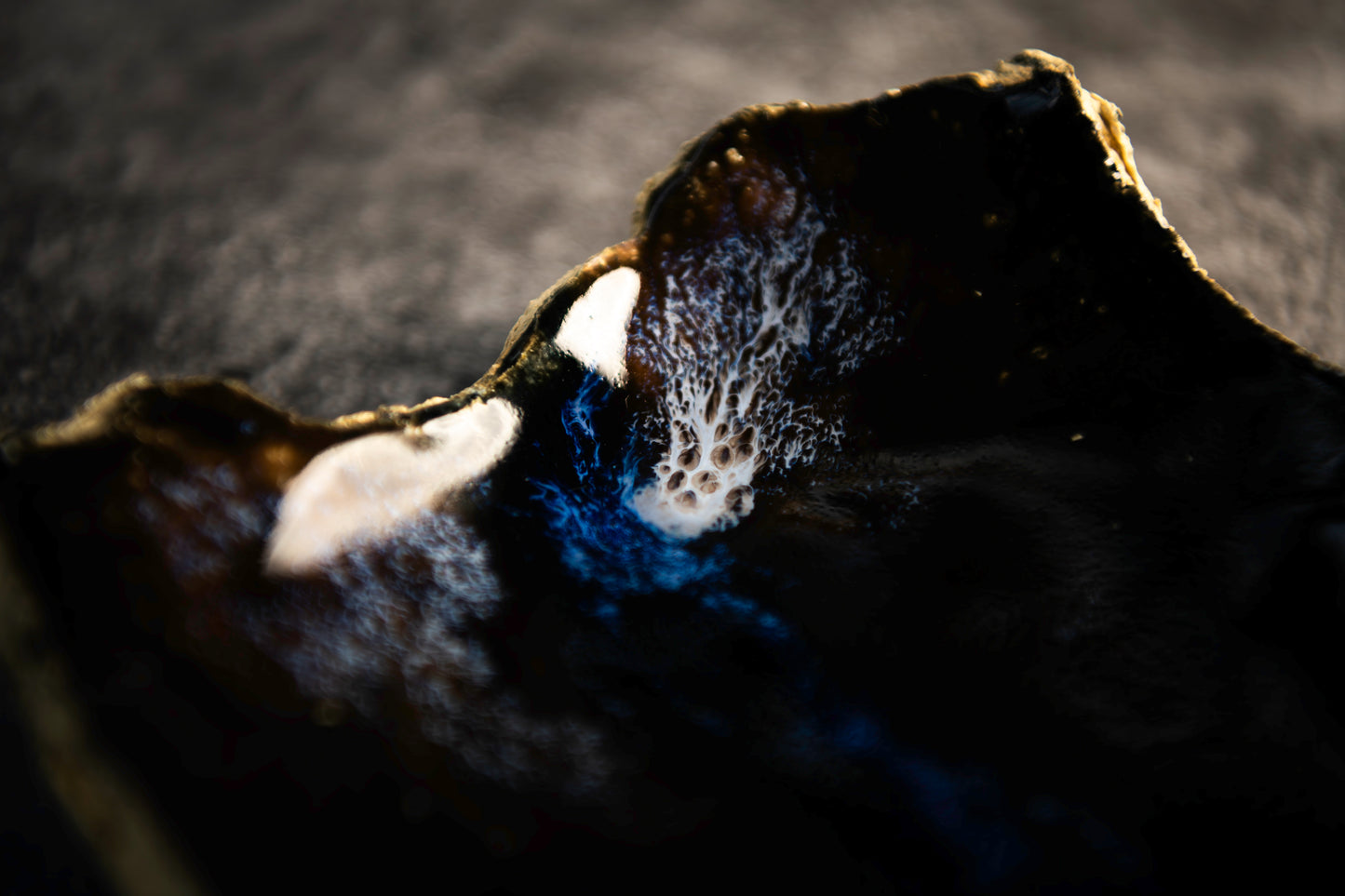 Scratches Deep Blue Tray