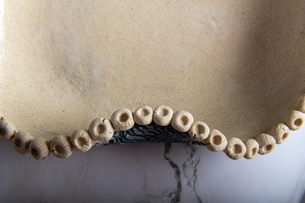 Tidal Deep Plate
